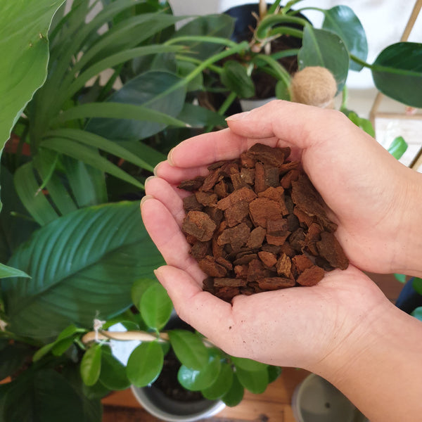 NZ Orchid Bark - Medium Grain
