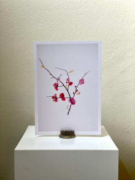 TRIO - Botanical Art Prints