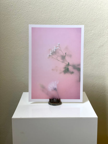 TRIO - Botanical Art Prints
