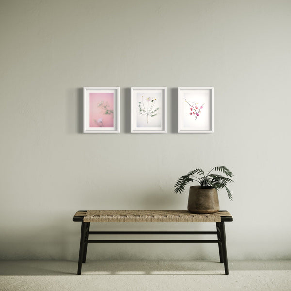TRIO - Botanical Art Prints