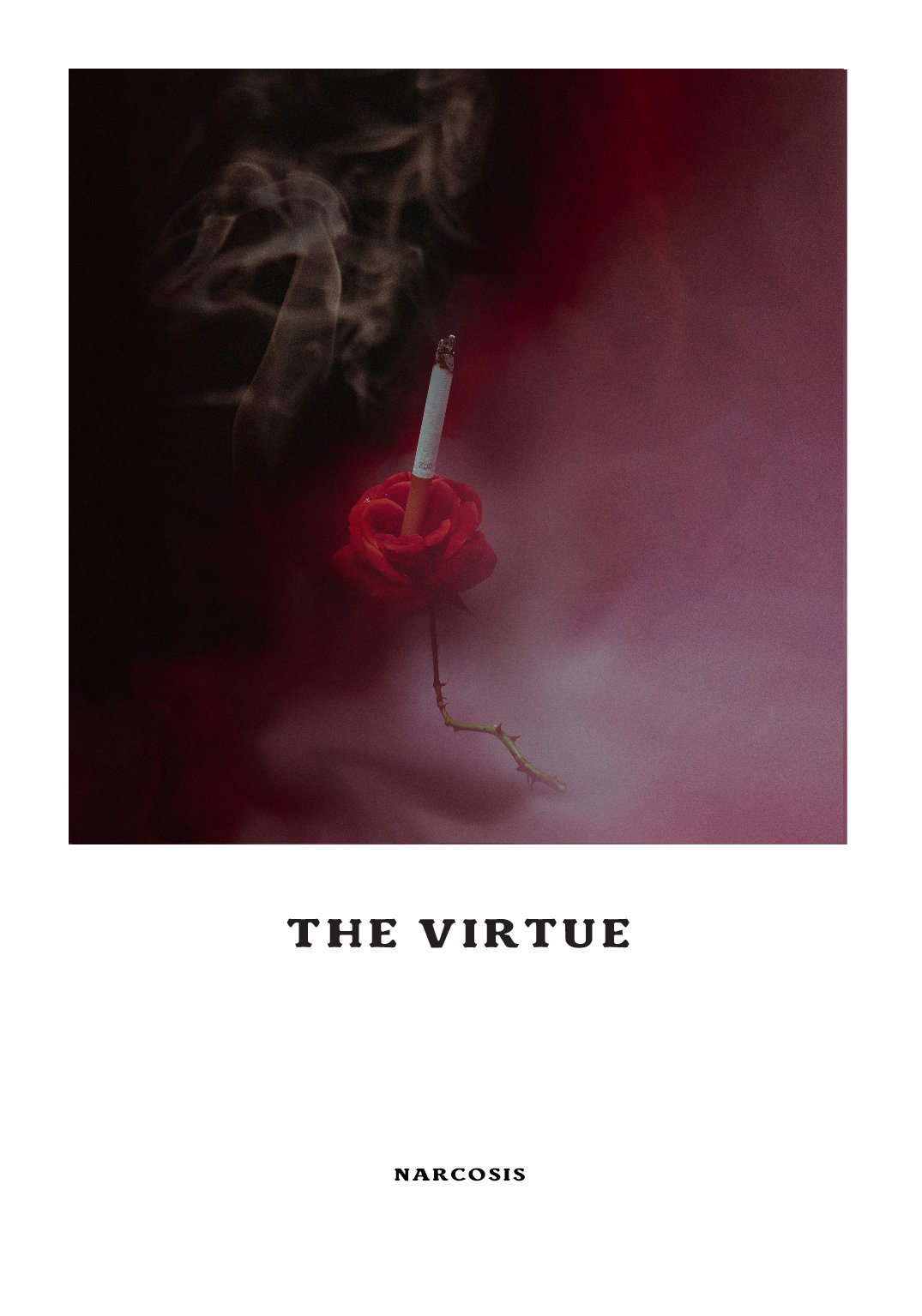 NARCOSIS The Virtue Incense - 12 sticks