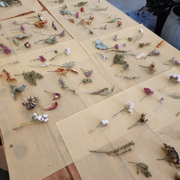 Botanical Wall Art Kit