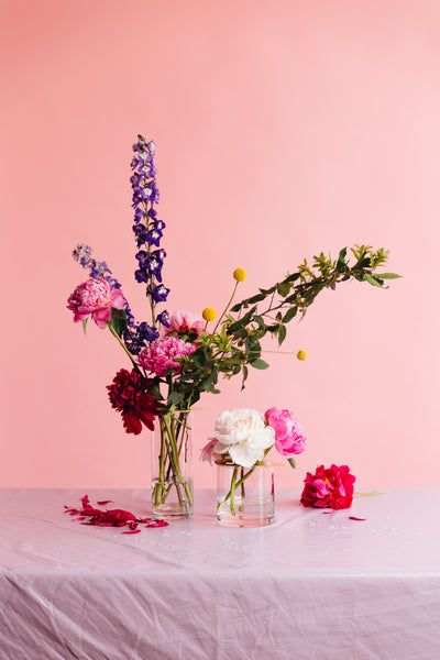 Bloom Catcher