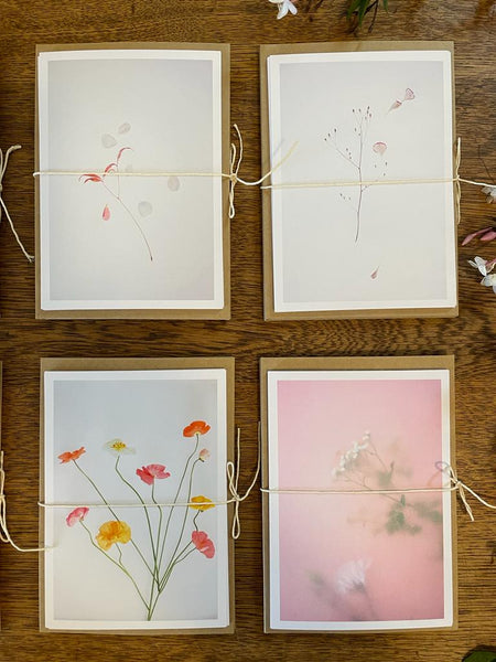 Art Print Postcard Set