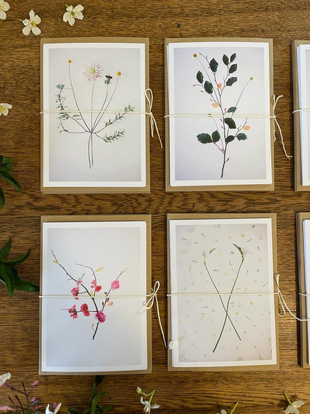 Art Print Postcard Set