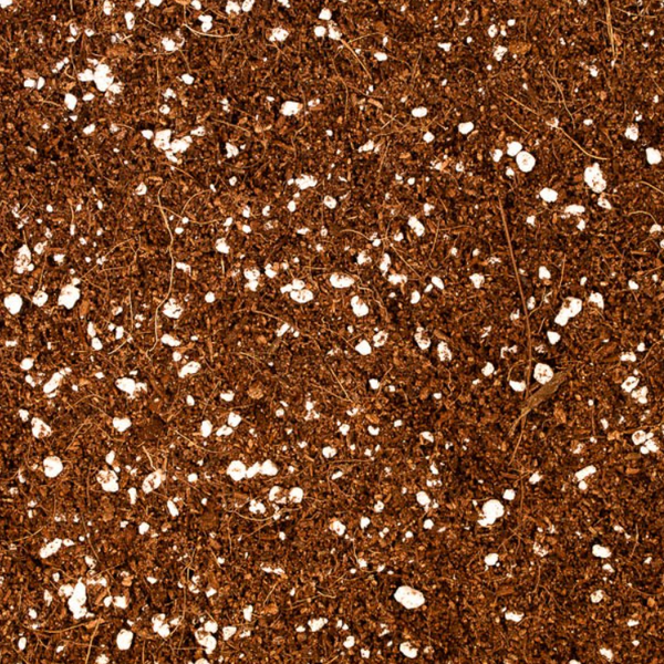 Coco & Perlite