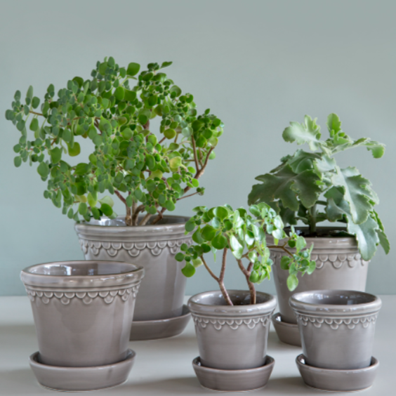 Copenhagen - Glazed Pearl Grey